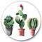 Designart - Three Cactus In Clay Pots - Traditional Metal Circle Wall Art